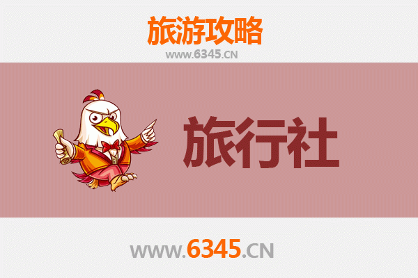 盐城射阳旅行社推荐：探索自然与文化的完美向导